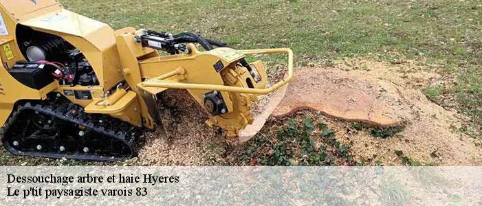 Dessouchage arbre et haie  83400