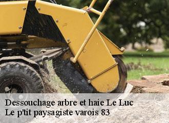 Dessouchage arbre et haie  le-luc-83340 Le p'tit paysagiste varois 83