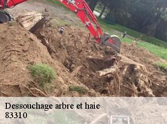 Déssouchage