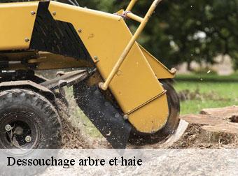 Déssouchage