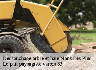 Dessouchage arbre et haie  nans-les-pins-83860 Le p'tit paysagiste varois 83