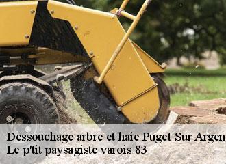Dessouchage arbre et haie puget-sur-argens-83480 Le p'tit paysagiste varois 83