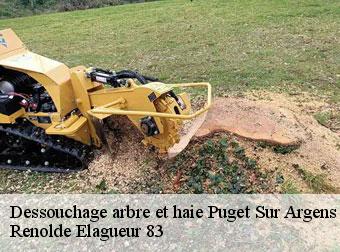 Dessouchage arbre et haie 83480