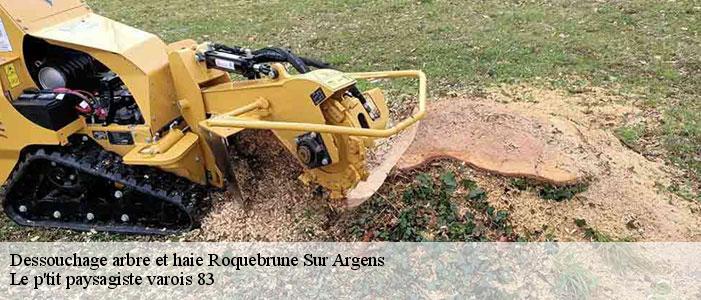 Dessouchage arbre et haie  83520