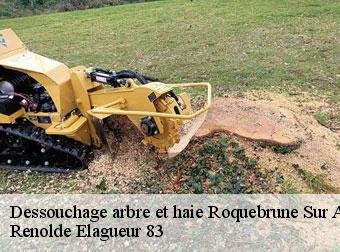 Dessouchage arbre et haie 83520