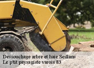 Dessouchage arbre et haie seillans-83440 Le p'tit paysagiste varois 83