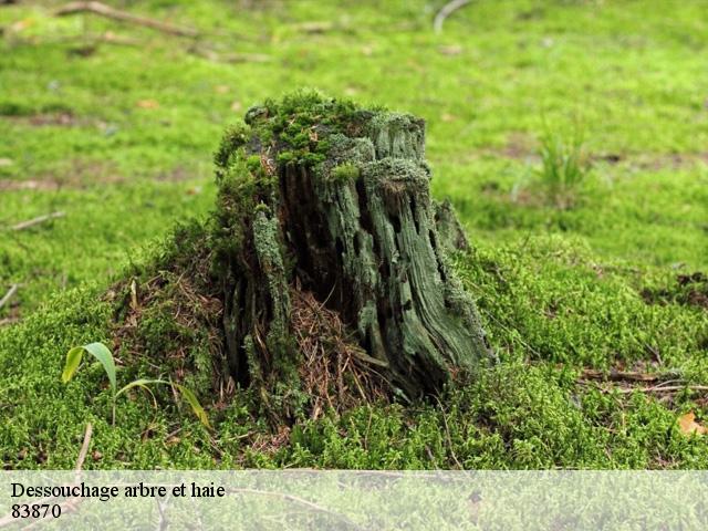 Dessouchage arbre et haie 83870
