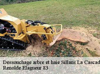 Dessouchage arbre et haie 83690