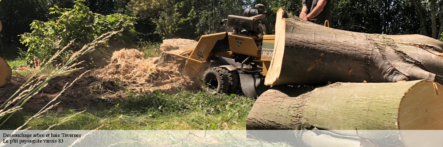 Dessouchage arbre et haie 83670