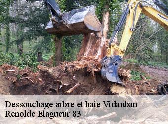 Dessouchage arbre et haie vidauban-83550 Renolde Elagueur 83