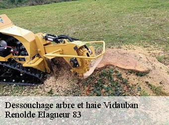 Dessouchage arbre et haie 83550