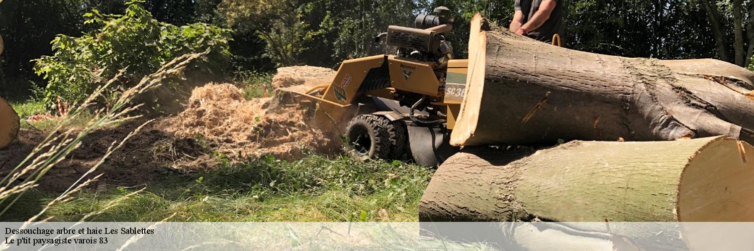 Dessouchage arbre et haie  83500