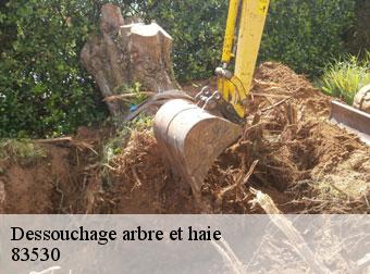 Dessouchage arbre et haie 83530