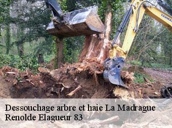 Dessouchage arbre et haie  la-madrague-83270 Renolde Elagueur 83