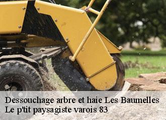 Dessouchage arbre et haie les-baumelles-83270 Le p'tit paysagiste varois 83