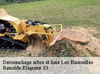 Dessouchage arbre et haie  83270