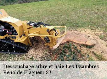 Dessouchage arbre et haie  83380