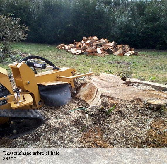 Dessouchage arbre et haie  83500