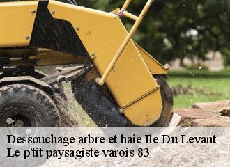 Dessouchage arbre et haie ile-du-levant-83400 Le p'tit paysagiste varois 83