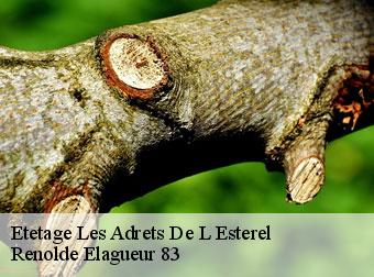 Etetage les-adrets-de-l-esterel-83600 Renolde Elagueur 83