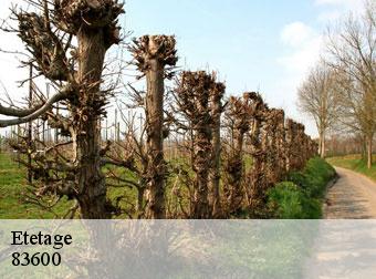 Etetage 83600