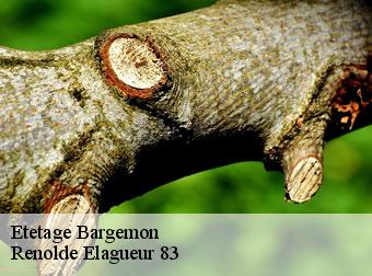 Etetage bargemon-83830 Renolde Elagueur 83