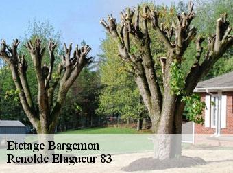 Etetage 83830