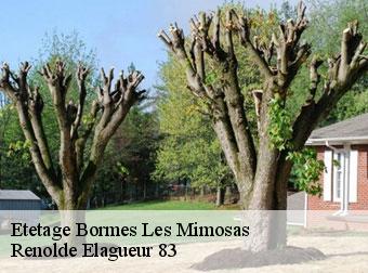 Etetage 83230