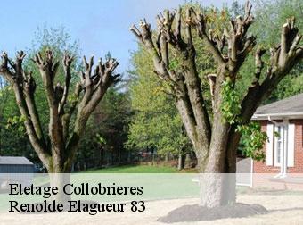 Etetage 83610