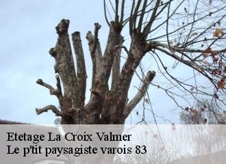 Etetage  la-croix-valmer-83420 Le p'tit paysagiste varois 83