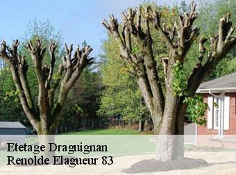 Etetage 83300