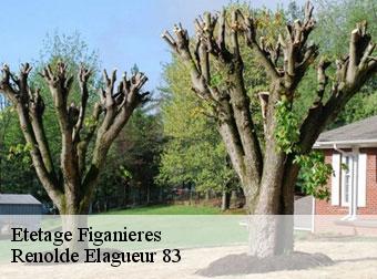 Etetage 83830