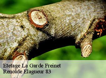 Etetage  la-garde-freinet-83680 Renolde Elagueur 83