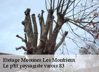 Etetage  meounes-les-montrieux-83136 Le p'tit paysagiste varois 83