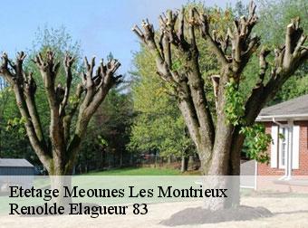 Etetage  83136