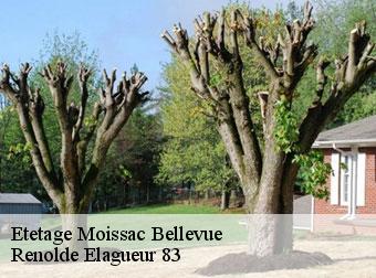 Etetage 83630