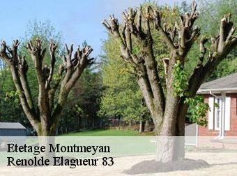Etetage  83670