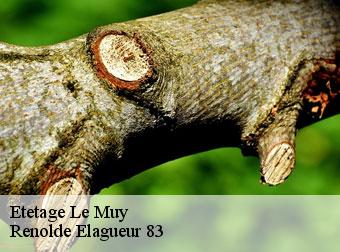 Etetage le-muy-83490 Renolde Elagueur 83