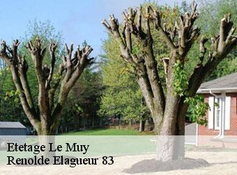 Etetage 83490