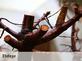 Etetage 83490