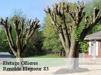 Etetage  83470