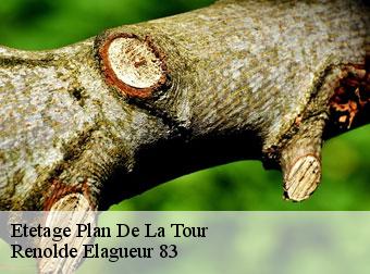 Etetage  plan-de-la-tour-83120 Renolde Elagueur 83