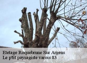 Etetage  roquebrune-sur-argens-83520 Le p'tit paysagiste varois 83