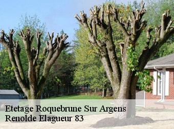 Etetage  83520