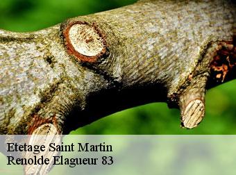 Etetage saint-martin-83560 Renolde Elagueur 83