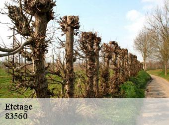 Etetage 83560