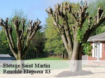 Etetage 83560