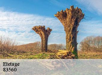 Etetage 83560