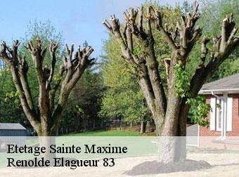 Etetage 83120