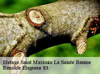 Etetage saint-maximin-la-sainte-baume-83470 Renolde Elagueur 83